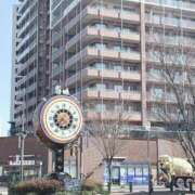 ヒメ日記 2026/01/13 14:56 投稿 ひなた 待ちナビ