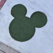 ひなた ミッキー？ 待ちナビ