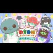 ヒメ日記 2026/02/06 20:32 投稿 ひなた 待ちナビ