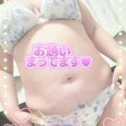 ヒメ日記 2026/02/15 09:55 投稿 ひなた 待ちナビ