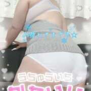 ヒメ日記 2026/02/15 13:25 投稿 ひなた 待ちナビ