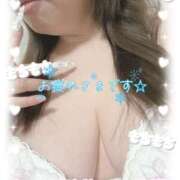 ヒメ日記 2026/02/18 12:39 投稿 ひなた 待ちナビ