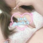 ヒメ日記 2026/02/19 14:05 投稿 ひなた 待ちナビ