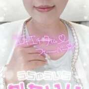 ヒメ日記 2026/02/20 13:19 投稿 ひなた 待ちナビ