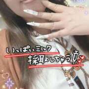 ヒメ日記 2026/02/20 14:45 投稿 ひなた 待ちナビ