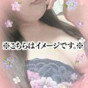 ヒメ日記 2026/02/24 22:17 投稿 ひなた 待ちナビ