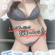 ヒメ日記 2026/02/27 11:55 投稿 ひなた 待ちナビ