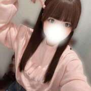 ヒメ日記 2025/11/26 04:31 投稿 ルウ エピソード(品川)