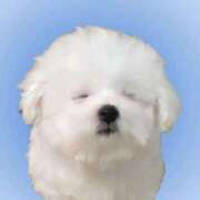 ヒメ日記 2025/10/02 08:05 投稿 あんな Beppin house