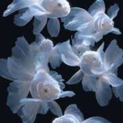 ヒメ日記 2025/10/04 14:20 投稿 あんな Beppin house