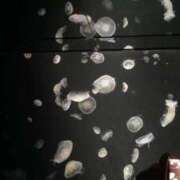 ヒメ日記 2025/11/04 12:00 投稿 あんな Beppin house