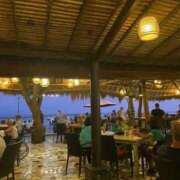 ヒメ日記 2025/12/16 13:49 投稿 あんな Beppin house