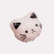 ヒメ日記 2025/12/18 13:50 投稿 あんな Beppin house