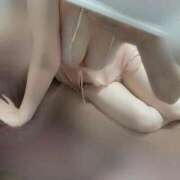 ゆきほ 予定 Anemone渋谷店