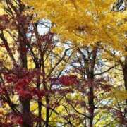 ヒメ日記 2025/11/10 22:18 投稿 白雪　かんな タッチVIP