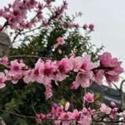 ヒメ日記 2026/04/30 18:27 投稿 白雪　かんな タッチVIP