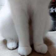 ヒメ日記 2025/11/30 21:57 投稿 清澄 せいな 大奥 難波店