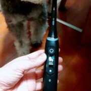 ヒメ日記 2025/12/08 13:41 投稿 清澄 せいな 大奥 難波店