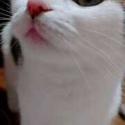 ヒメ日記 2025/12/20 21:20 投稿 清澄 せいな 大奥 難波店