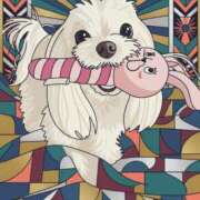 ヒメ日記 2026/01/04 22:34 投稿 清澄 せいな 大奥 難波店