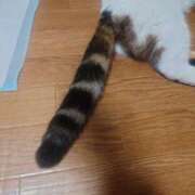 ヒメ日記 2026/01/13 22:10 投稿 清澄 せいな 大奥 難波店