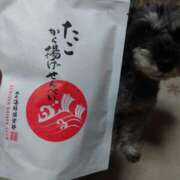 ヒメ日記 2026/01/28 18:13 投稿 清澄 せいな 大奥 難波店