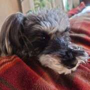 ヒメ日記 2026/02/02 08:41 投稿 清澄 せいな 大奥 難波店