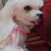 ヒメ日記 2026/02/02 13:13 投稿 清澄 せいな 大奥 難波店