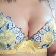 ヒメ日記 2026/02/15 08:55 投稿 清澄 せいな 大奥 難波店