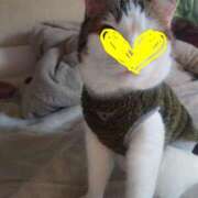 ヒメ日記 2026/02/17 09:26 投稿 清澄 せいな 大奥 難波店