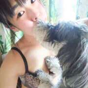 清澄 せいな シュナウザーと飼い主と① 大奥 難波店