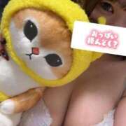 ヒメ日記 2025/11/22 01:59 投稿 ことの 帯広黒い金魚