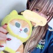 ヒメ日記 2025/12/11 03:19 投稿 ことの 帯広黒い金魚