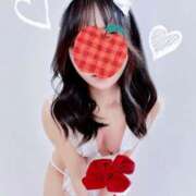 ヒメ日記 2025/11/14 12:02 投稿 こはる 金の玉クラブ池袋～密着睾丸マッサージ～