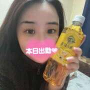 ヒメ日記 2025/10/28 09:00 投稿 ソウ バニーコレクション新潟店