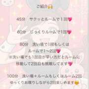 ヒメ日記 2026/04/03 14:30 投稿 ソウ バニーコレクション新潟店