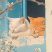 ヒメ日記 2025/09/24 18:10 投稿 藤本 あいこ club eyes