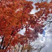 みな 出勤中 桜フェアリーテイル