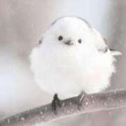 ヒメ日記 2025/11/03 18:51 投稿 関川 みき 30代40代50代と遊ぶなら博多人妻専科24時