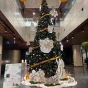 ヒメ日記 2025/11/30 22:05 投稿 関川 みき 30代40代50代と遊ぶなら博多人妻専科24時