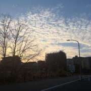 ヒメ日記 2026/01/19 15:26 投稿 関川 みき 30代40代50代と遊ぶなら博多人妻専科24時