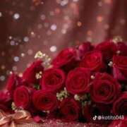 ヒメ日記 2026/02/01 20:50 投稿 関川 みき 30代40代50代と遊ぶなら博多人妻専科24時