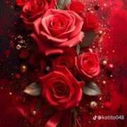 ヒメ日記 2026/02/03 01:50 投稿 関川 みき 30代40代50代と遊ぶなら博多人妻専科24時