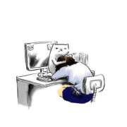 ヒメ日記 2026/02/10 14:43 投稿 関川 みき 30代40代50代と遊ぶなら博多人妻専科24時