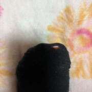 ヒメ日記 2026/02/18 00:38 投稿 関川 みき 30代40代50代と遊ぶなら博多人妻専科24時