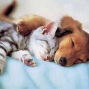 ヒメ日記 2026/02/20 00:36 投稿 関川 みき 30代40代50代と遊ぶなら博多人妻専科24時