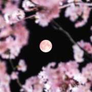 ヒメ日記 2026/04/05 00:40 投稿 関川 みき 30代40代50代と遊ぶなら博多人妻専科24時