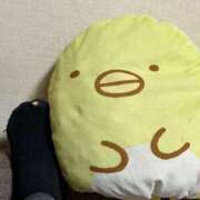 ヒメ日記 2026/04/09 23:03 投稿 関川 みき 30代40代50代と遊ぶなら博多人妻専科24時