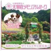 ヒメ日記 2026/09/10 21:50 投稿 関川 みき 30代40代50代と遊ぶなら博多人妻専科24時