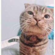 ヒメ日記 2025/11/02 00:49 投稿 れい 西船巨乳ぽっちゃり　乳神さま